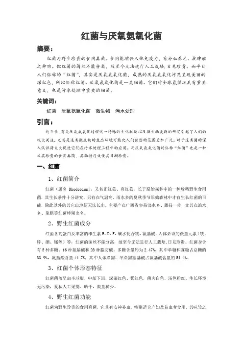 红菌与厌氧氨氧化菌