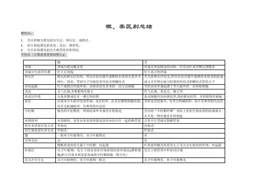 根、茎区别总结