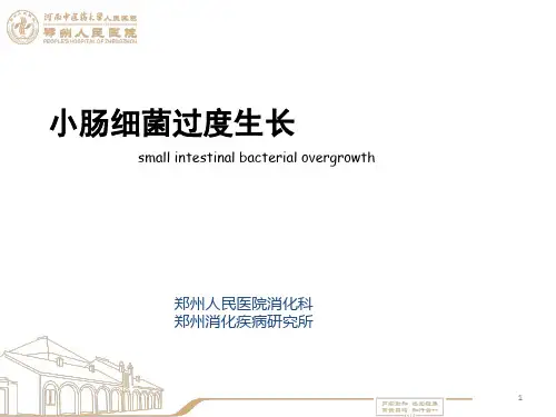 小肠细菌过度生长PPT课件