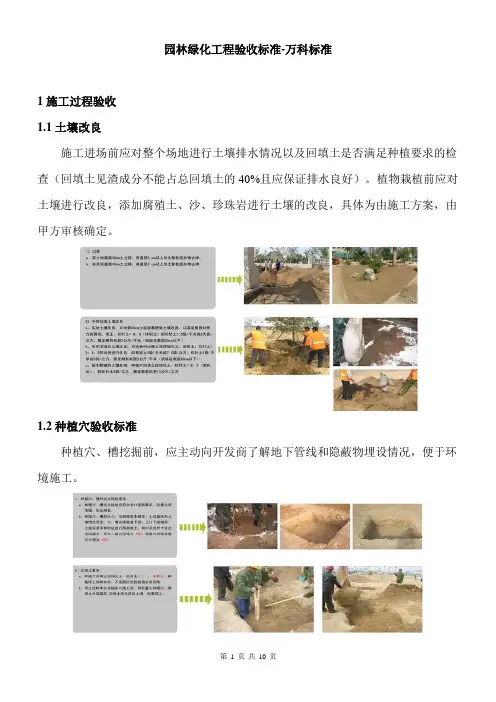 园林绿化工程验收标准-万科标准