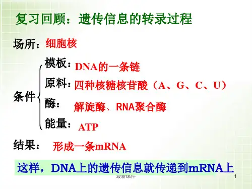 《遗传信息的翻译》PPT课件