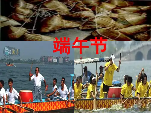 语文人教版八年级下册端午的鸭蛋(课文内容讲解)