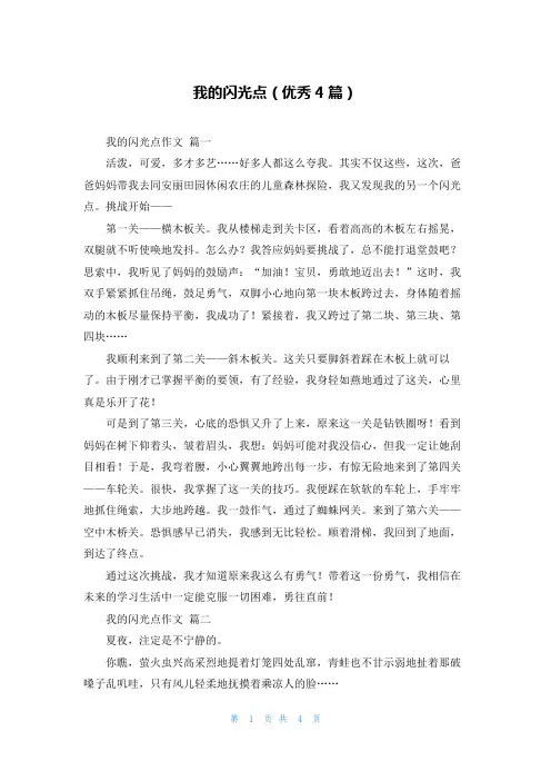 我的闪光点(优秀4篇)
