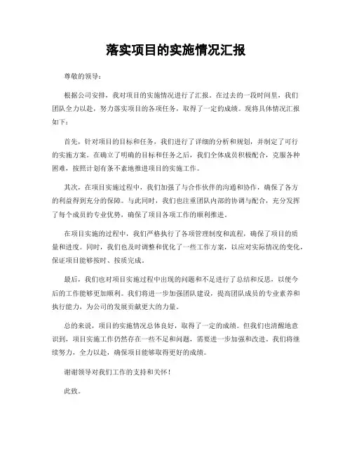 落实项目的实施情况汇报