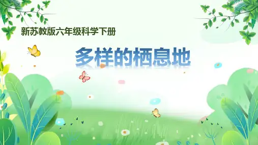新苏教版六年级下册科学第二单元第5课《多样的栖息地》课件