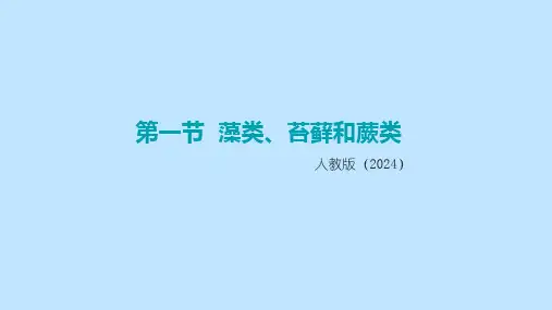 人教版(2024新板)七年级生物上册第二单元第一章第一节《藻类、苔藓和蕨类》精品课件