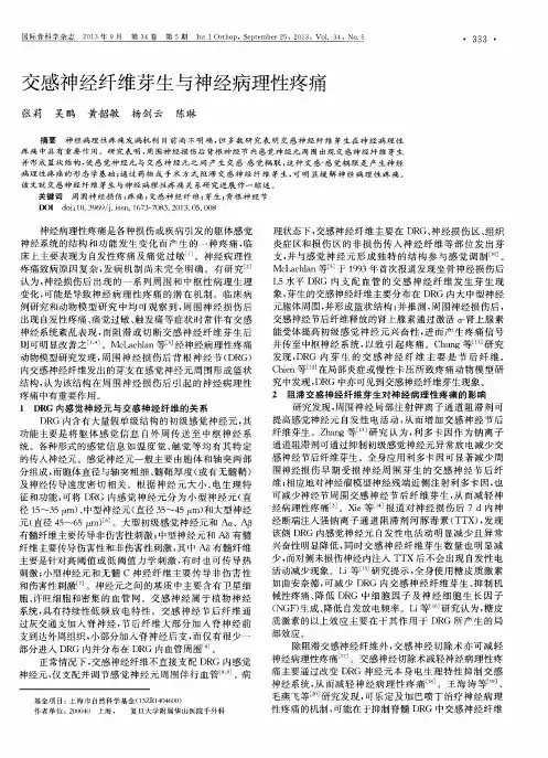 交感神经纤维芽生与神经病理性疼痛