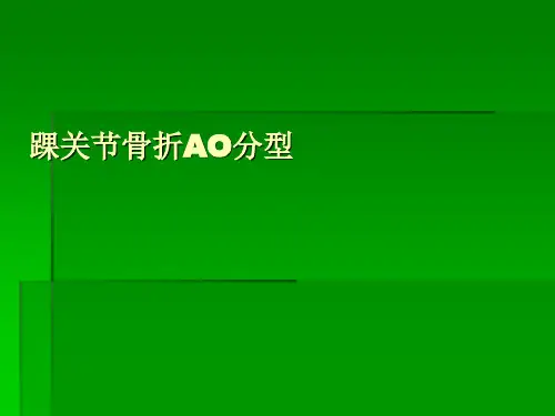 踝关节骨折AO分型