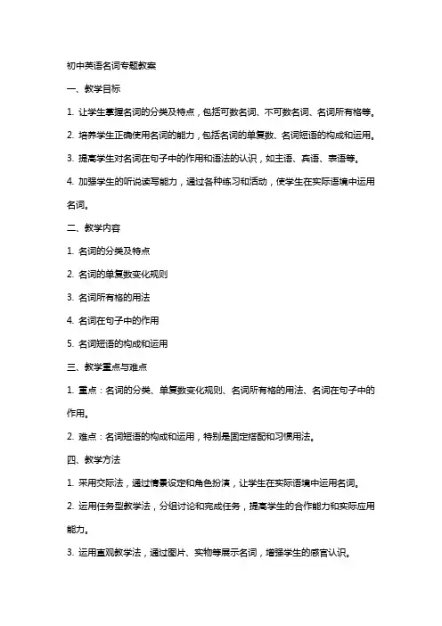 初中英语名词专题教案