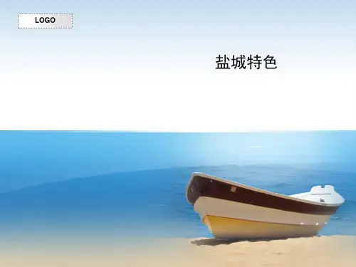 介绍盐城ppt