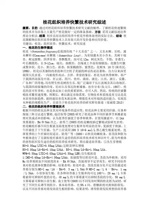 桂花组织培养快繁技术研究综述