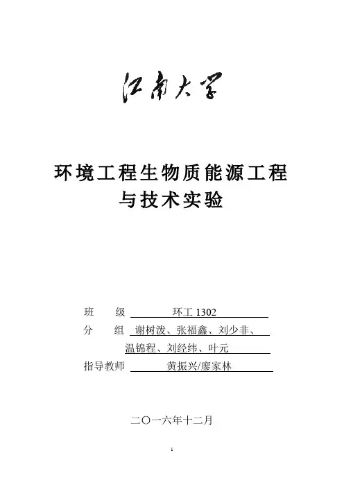 生物质能源工程与技术实验报告