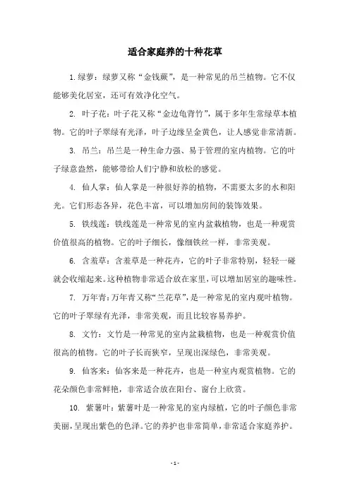 适合家庭养的十种花草