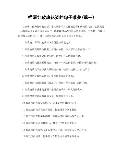 描写红玫瑰花姿的句子唯美(精选2篇)