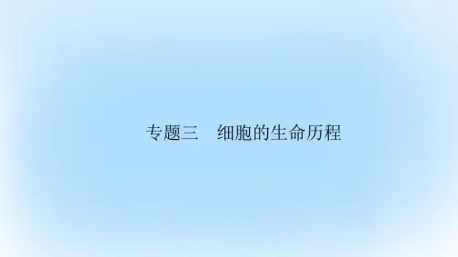 高考生物大二轮专题复习 专题三 细胞的生命历程 3_1 细胞的生命历程课件