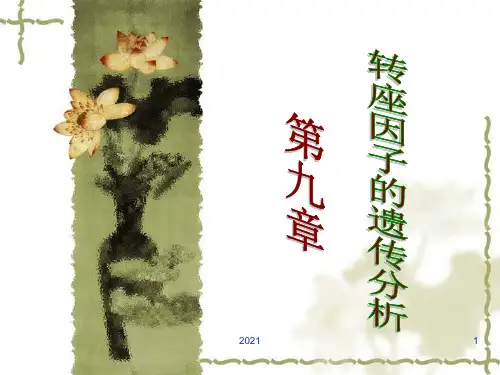 第九章-转座因子的遗传分析PPT课件
