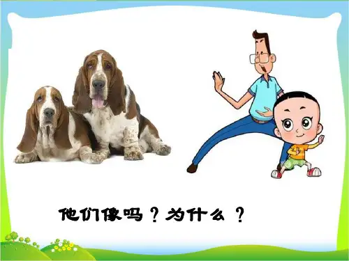 北师大版生物八上20.1《遗传和变异现象》 课件(共33张PPT)