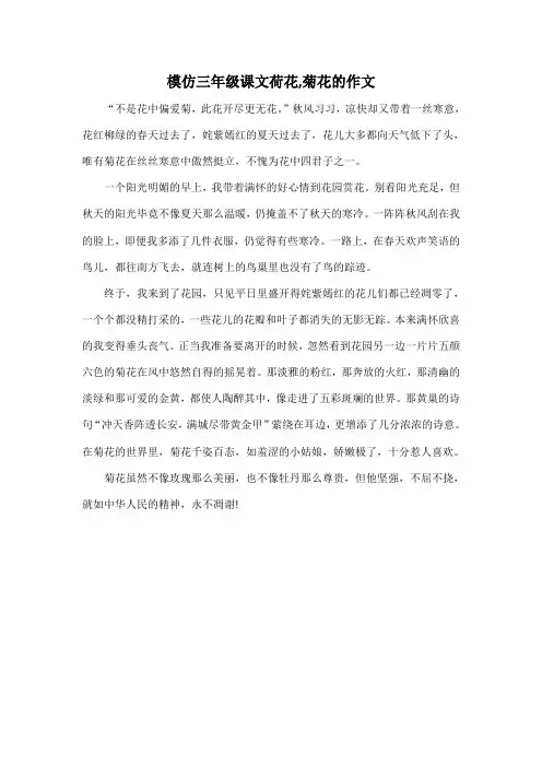 模仿三年级课文荷花,菊花的作文
