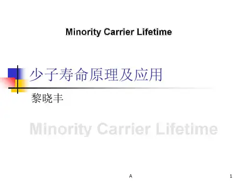 少子寿命介绍