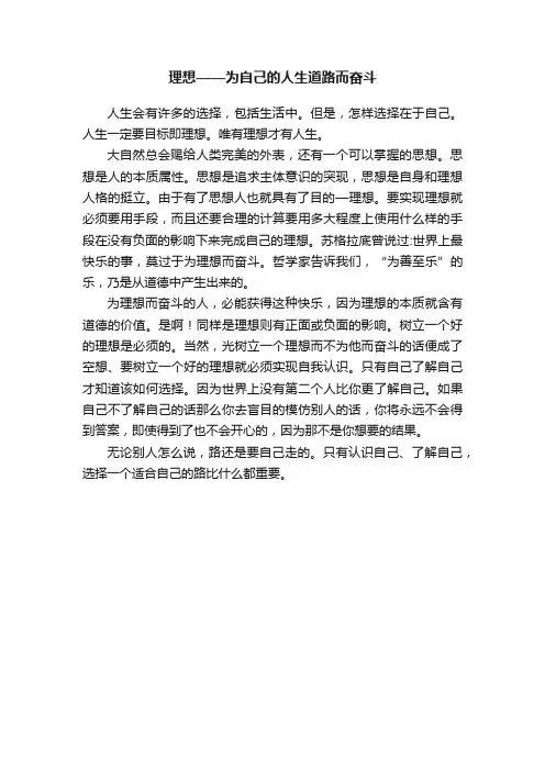 理想——为自己的人生道路而奋斗