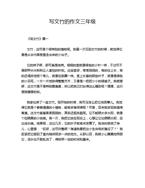 写文竹的作文三年级