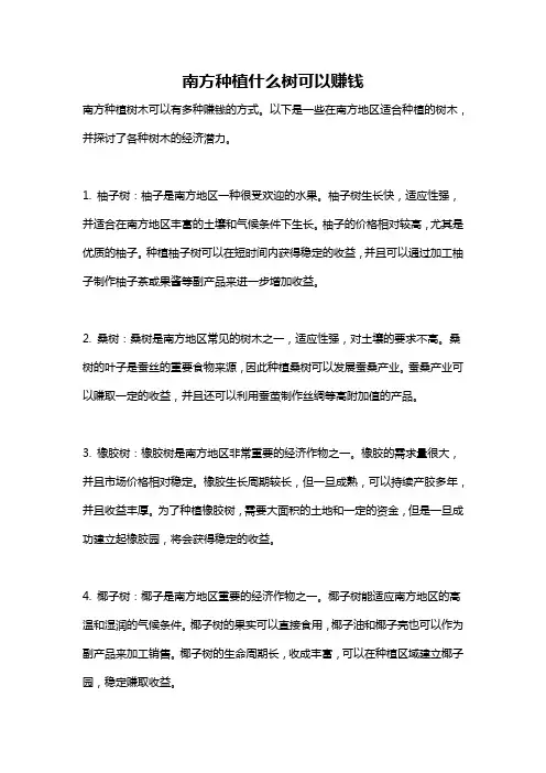 南方种植什么树可以赚钱