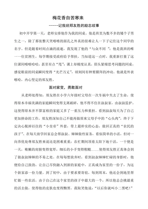 梅花香自苦寒来