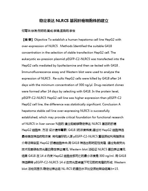 稳定表达NLRC5基因肝癌细胞株的建立