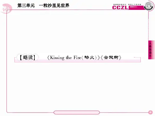 高中语文 散文3【略读】《Kissing the Fire(吻火)》课件《合欢树》 新人教版选修《中国现代诗歌散文欣赏》