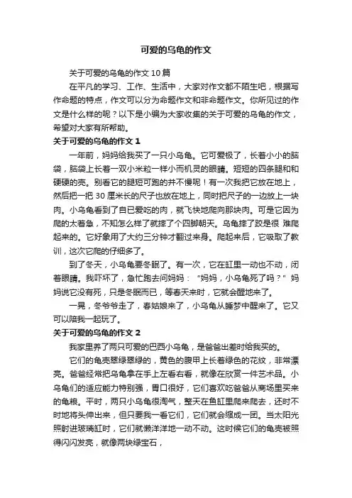 关于可爱的乌龟的作文10篇