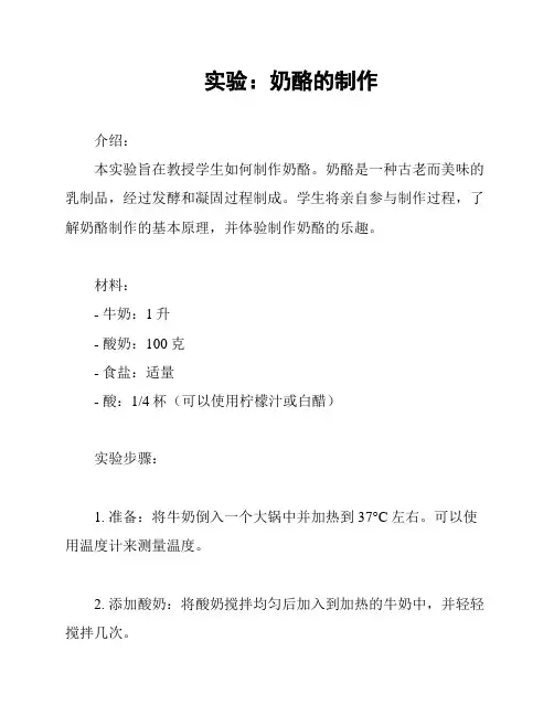 实验：奶酪的制作
