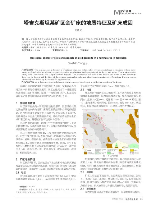 塔吉克斯坦某矿区金矿床的地质特征及矿床成因