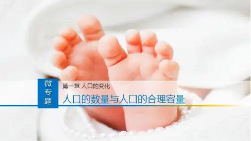 人口数量的变化与人口的合理容量-高考地理总复习微考点精讲优质课件