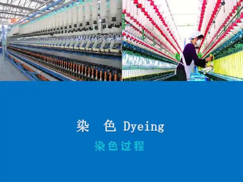 染色基本理论—染色的基本过程