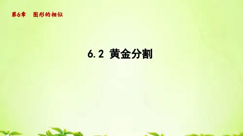 苏科版九年级数学下册_6.2黄金分割