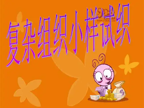 小样试织PPT汇报(第2组)
