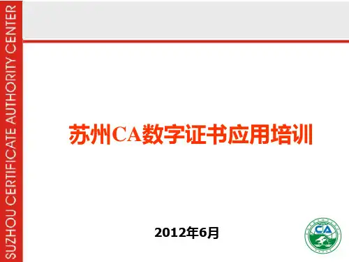 CA培训