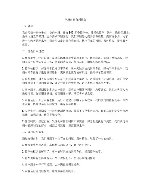 车场自查自纠报告