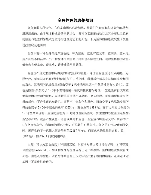 金鱼体色的遗传知识