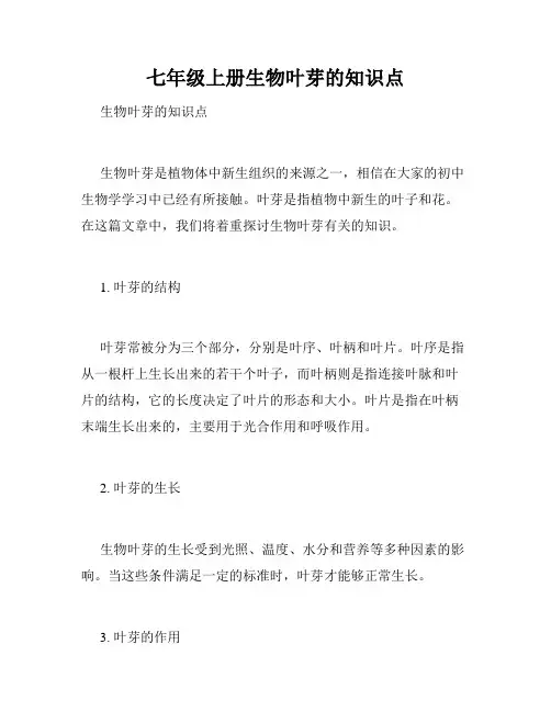 七年级上册生物叶芽的知识点