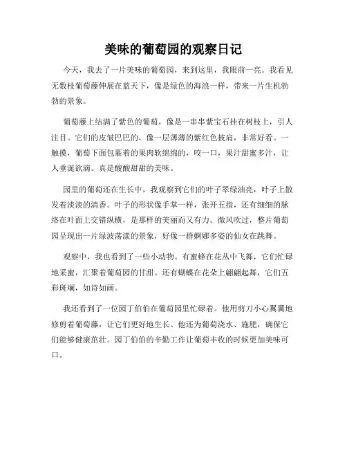 小学三年级作文美味的葡萄园的观察日记