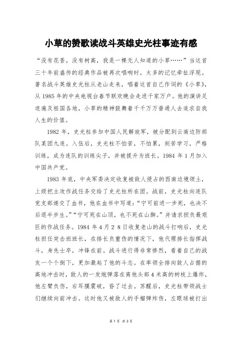 小草的赞歌读战斗英雄史光柱事迹有感_高三作文