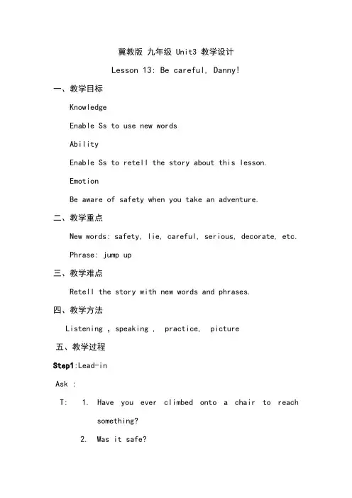 冀教版英语九年级全一册 Unit 3：Lesson 13 Be Careful,Danny 课程教学