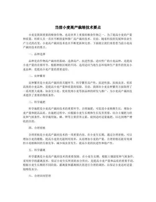 当前小麦高产栽培技术要点