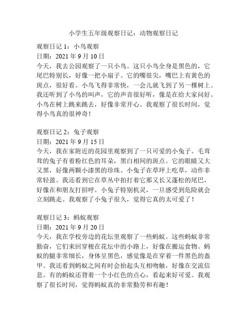小学生五年级观察日记：动物观察日记