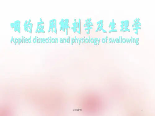 咽的解剖与生理  ppt课件