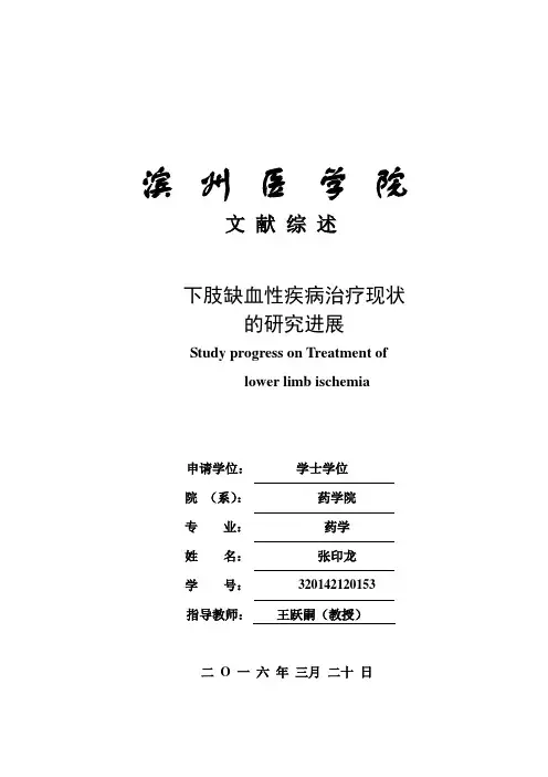 下肢缺血治疗方法的研究进展综述
