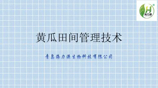 黄瓜田间管理技术