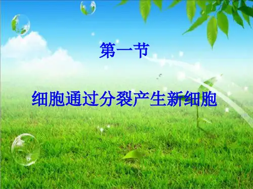 第一节   细胞通过分裂产生新细胞_pptPPT课件