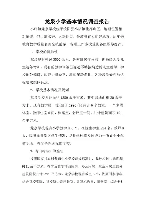 龙泉小学基本情况调查报告
